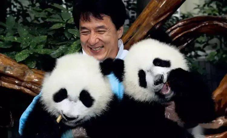 Джеки Чан План панды Jackie Chan Panda Plan