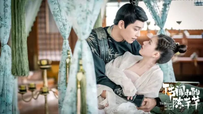 The Romance of Tiger and Rose Ding Yu Xi Zhao Lu Si