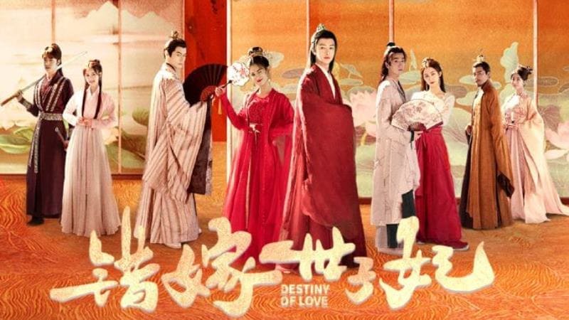 Destiny of Love 错嫁世子妃 Darren Chen Huang Riying Даррен Чэнь Хуан Жи Ин