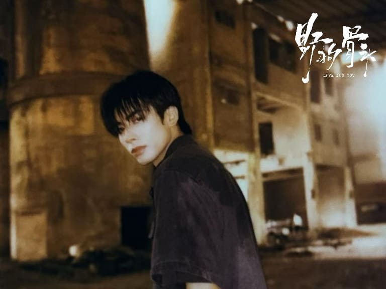Любовь к тебе Love For You 野狗骨头 Song Weilong Сун Вэй Лун