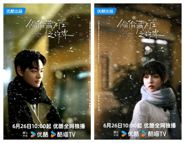 Скрытая любовь к тебе Hidden Love for You 偷偷藏不住之许你