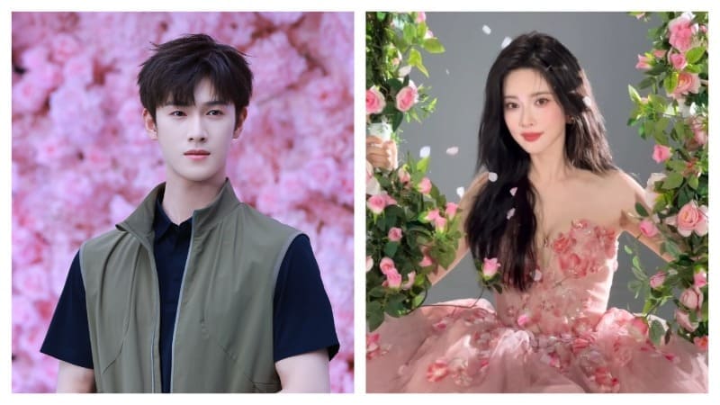 Мэн Цзы И Ли Юнь Жуй Meng Ziyi Li Yunrui Blossom Tigers Sniff the Rose
