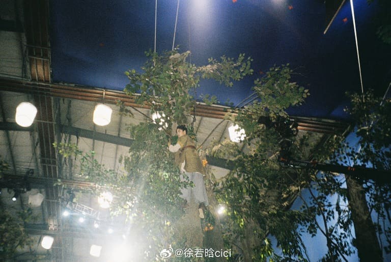 Сюй Жо Хань Xu Ruohan Love In Red Dust 红尘四合