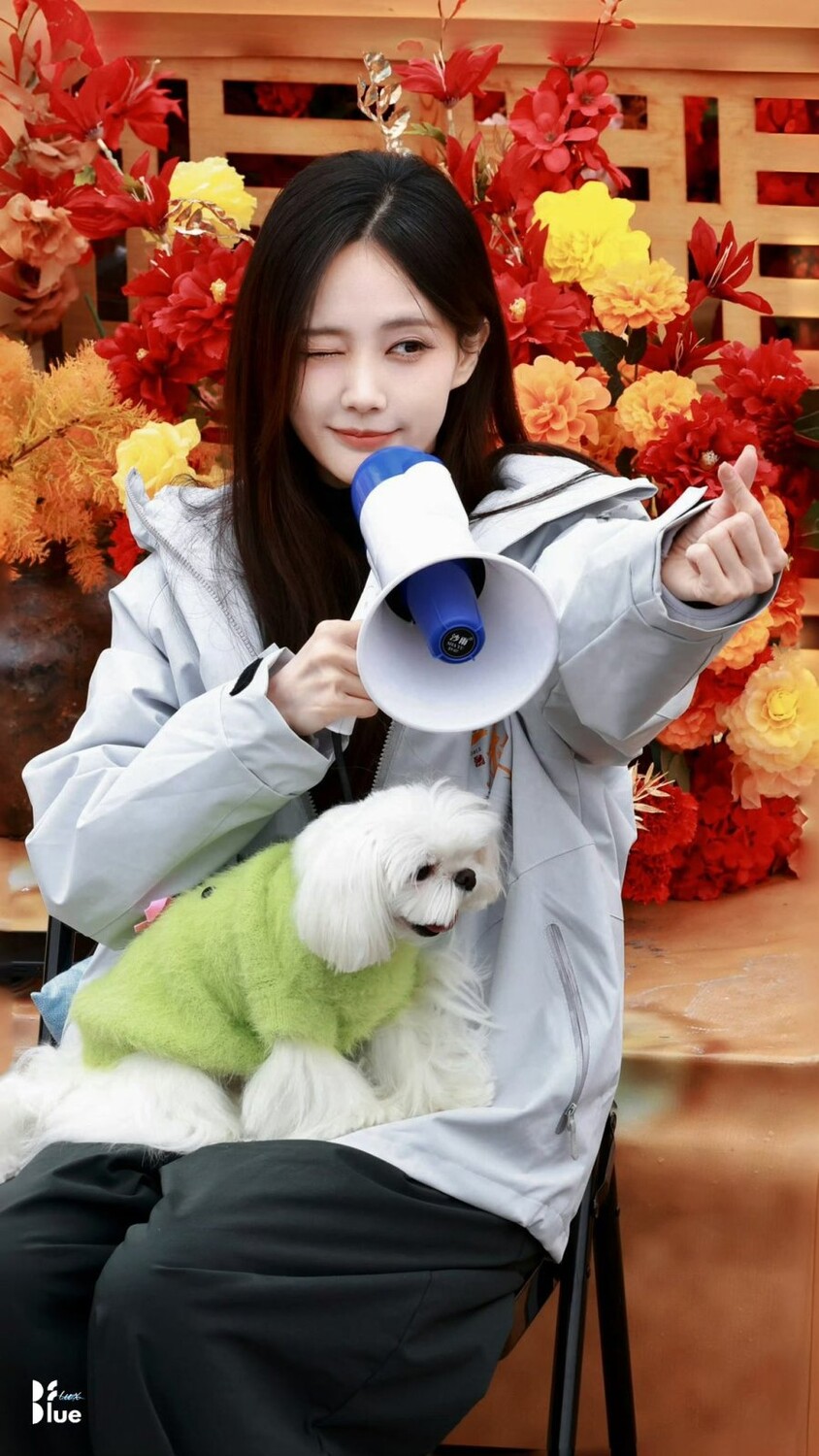 Начались съемки дорамы «Золотая ветвь» с Чэнь Син Сюем и Ли И Тун