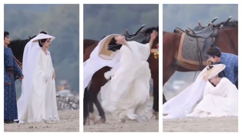 Мэн Цзы И Тигр вдыхает аромат розы Meng Ziyi Tigers Sniff the Rose Мэн Цзы И Тигр вдыхает аромат розы Meng Ziyi Tigers Sniff the Rose