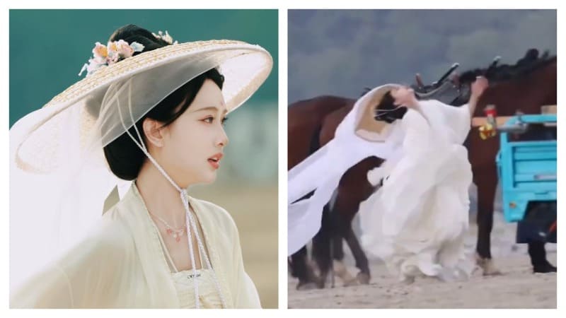 Мэн Цзы И Тигр вдыхает аромат розы Meng Ziyi Tigers Sniff the Rose