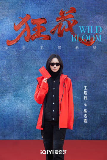 Ван Цзы Вэнь, Ava Wang, Wang Zi Wen, 王子文