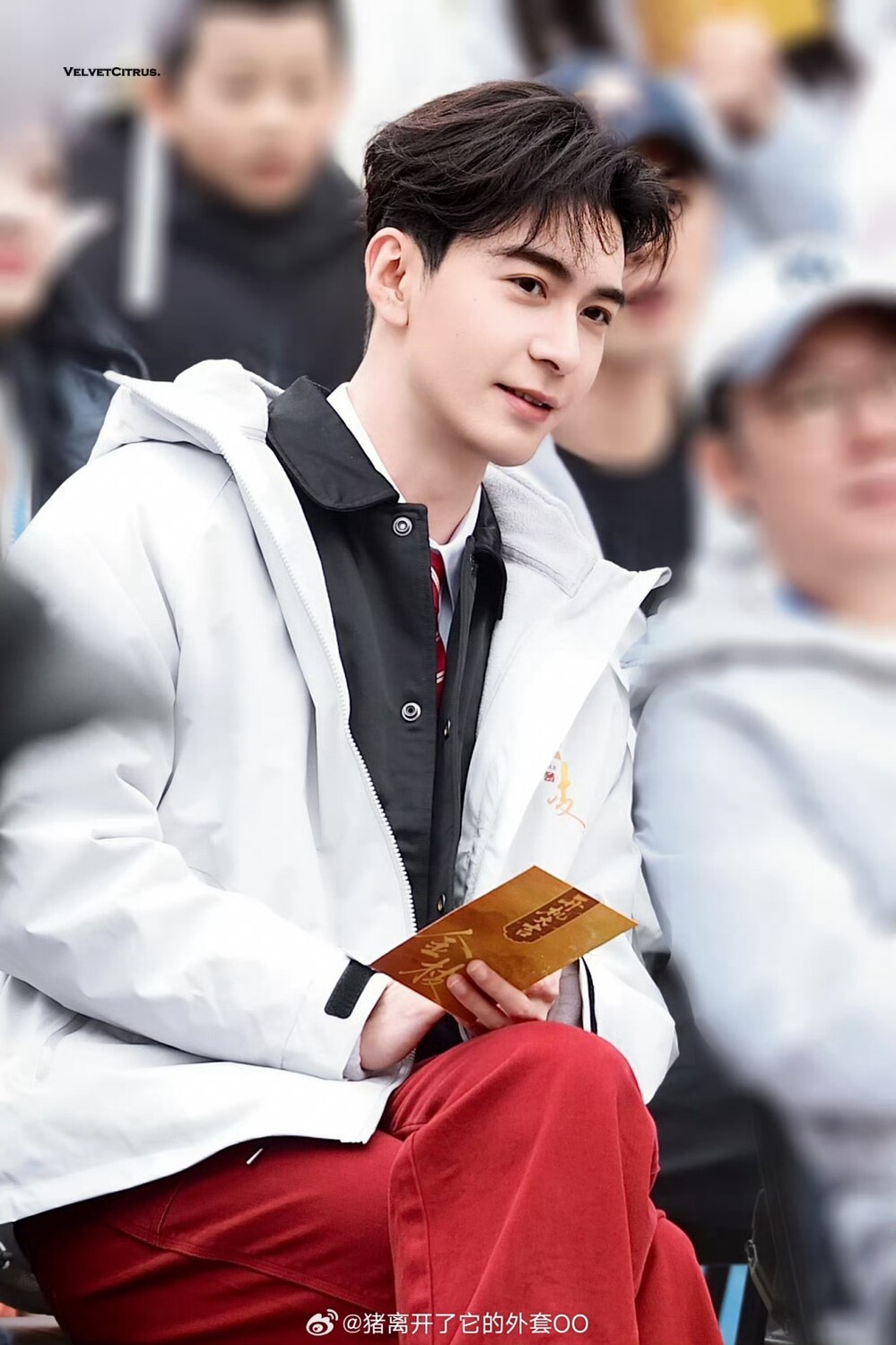 Начались съемки дорамы «Золотая ветвь» с Чэнь Син Сюем и Ли И Тун