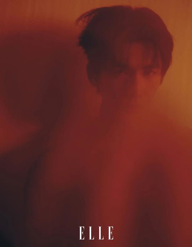 Чжан Лин Хэ, Zhang Ling He, 张凌赫, 张家玮 для ELLE China