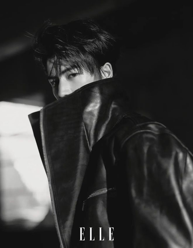 Чжан Лин Хэ, Zhang Ling He, 张凌赫, 张家玮 для ELLE China