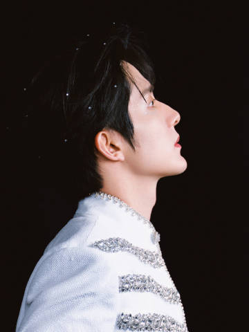 Чжан Синь Чэн, Zhang Xin Cheng, 张新成